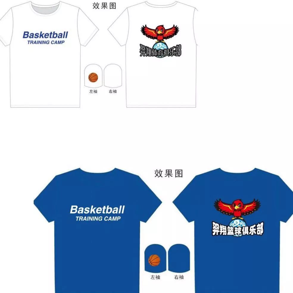 通过理疗改善篮球运动员的肌肉恢复方案_1